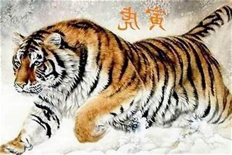 2023年 虎